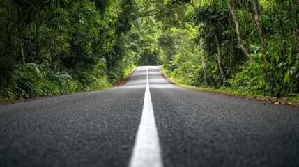 Obraz premium Road Through Lush Forest