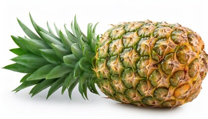 Juicy Pineapple Isolated on White Background &ndash; Full Depth of Field