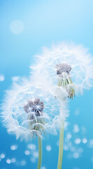 Dandelion against sky