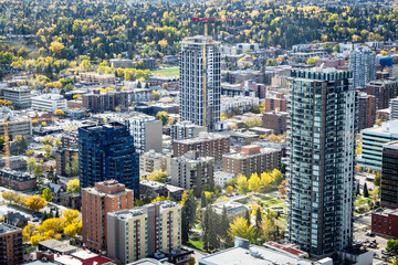 Looking down Calgary autumn cityscape with several apartment buildings overlooking streets with trees in fall colours
