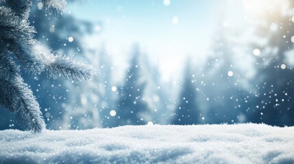 Snow trees with bokeh lighting in winter on a blurred background
