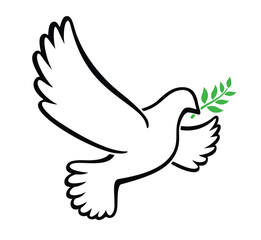 beautiful flying white peace dove outline with green olive branch transparent background