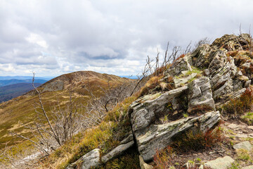 A walk in the Bieszczady National Park - Poland. © Jacek 