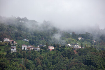 Fototapeta premium Misty Hills of Çayeli, Rize, Turkey – Traditional Houses and a Mosque Surrounded by Greenery in the Turkish Countryside