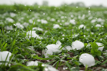 Ecology, bad weather and natural disasters concept. Hailstones and snow on the ground and in grass in summertime or spring lawn