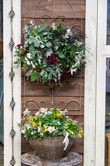 秋の深まり花ざかり