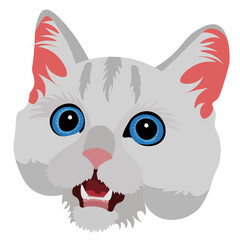 Cute cat head with light colored fur icon. Vector illustration isolated on white background.