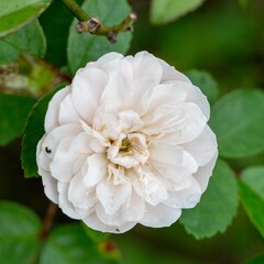 秋の深まり花ざかり