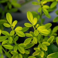 秋の深まり花ざかり