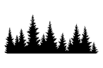 Fir trees silhouette. Coniferous spruce horizontal background pattern, black evergreen woods vector illustration. Beautiful hand drawn panorama of coniferous forest