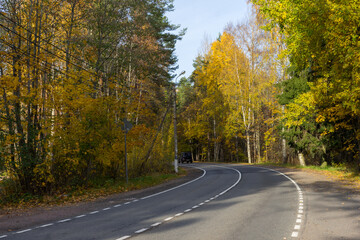 Obraz premium A road in the middle of an autumn forest