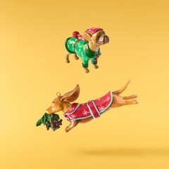 Fresh green rosemary herb falling in the air isolates on yellow background