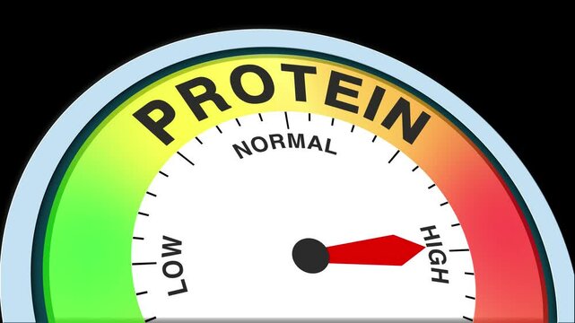 Protein Level Text or Word Low and Medium to High Meter Concept Animation on Black Background and Blue Screen