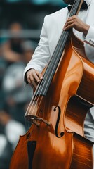 Fototapeta premium Musician playing a double bass at an outdoor concert during the summer festival in a vibrant urban setting