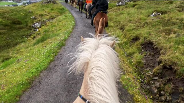 Hands grip the reins of a beautiful Icelandic horse. The blonde mane waves in the wind. Rocky trail atop a lush green mountain. Additional horses and riders in the distance. Streymoy, Faroe Islands.