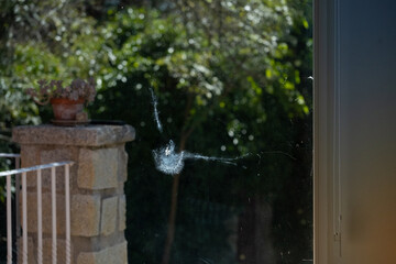 Collision mark or impact of a bird, probably a pigeon, against a large window of a country house. The bird has left its silhouette in the glass and a remnant of its feather. Attention and accident