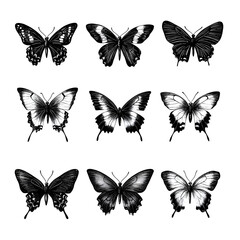 Obraz premium set of butterflies isolated, sketch
