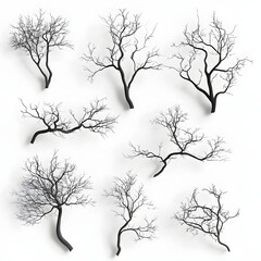 Fototapeta premium brach set collection of a tree