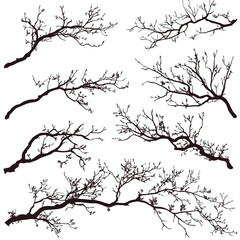 Obraz premium tree branches set