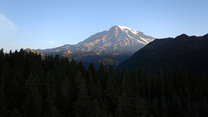 Mount Rainier at Sunrise Over Evergreen Forest