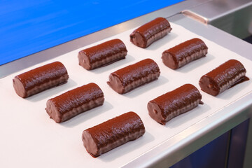 A tray of chocolate covered doughnuts are lined up on a counter. The doughnuts are all different sizes and shapes, but they all have a chocolate coating. Concept of indulgence and temptation