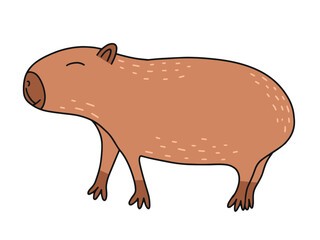 Capybara animal flat vector illustration