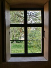 Blick durchs Fenster in den Garten