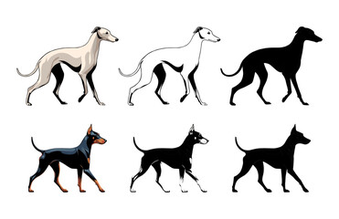 Vector Dog Hounds Profile Illustration Outline Silhouette 
