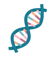 Vector illustration of spiral DNA double helix isolated on white background	