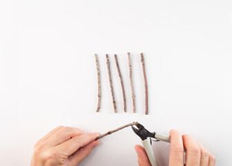 a pair of hands using pruning shears to cut a twig. several sticks arranged above the shears,...