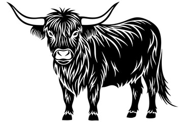 Majestic Highland Cow  vector art illustration