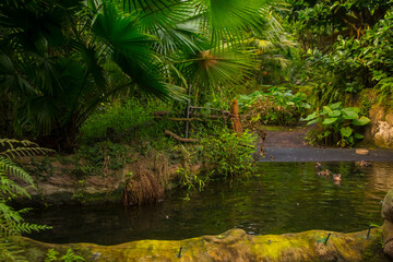 Tropical forest exhibit at Leipzig Zoo