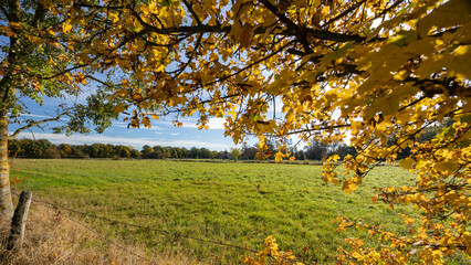 Herbst in Niedersachsen

