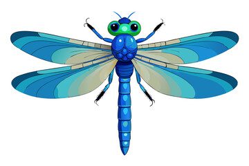  Dragonfly Anax imperator vector art illustration