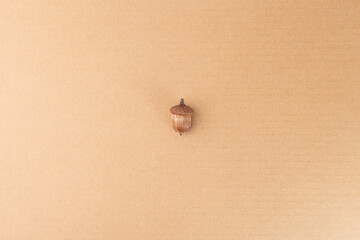 single acorn or oak nut sit on a light brown textured background. In the center, its cap still...