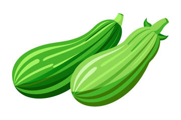 Two green squash on vector art illustration 