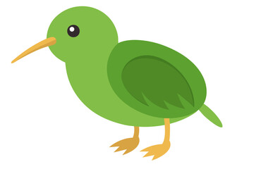 Cute kiwi bird vector art illustration