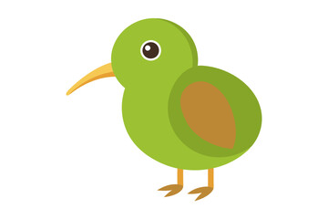 Cute kiwi bird vector art illustration