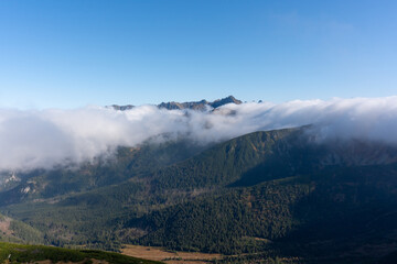 Majestic mountain scenery with rolling clouds over forested hills and distant summits on a clear, bright day. Tranquility, and outdoor exploration in a breathtaking high-altitude environment. 