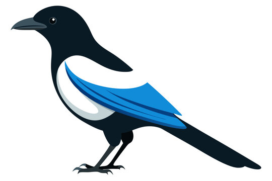 Side view of a common magpie vector art illustration