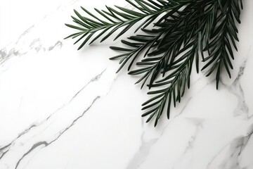 Obraz premium Green Plant Branch on White Marble Surface