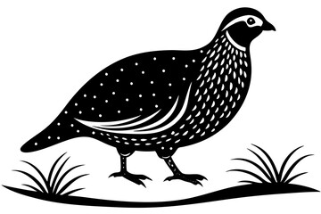 A partridge in the winter time walking vector illustration