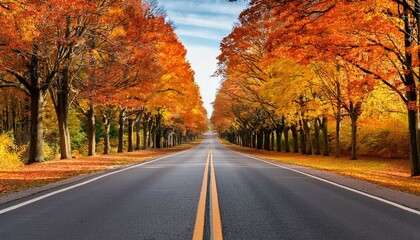 Fototapeta premium autumn road in the forest