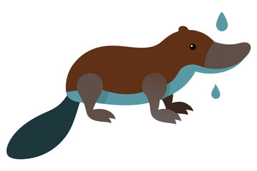  Cute platypus duck billed animal vector art illustration