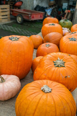 Vertical display of orange pumpkins stacked for autumn sale