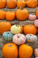 Orange and cream pumpkins arranged in vertical stack on burlap background