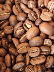 coffee beans background