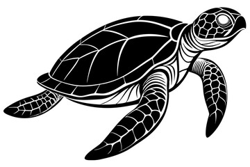  turtle underwater in Hawaii