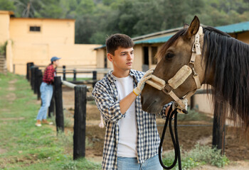 Obraz premium Man owner of horse leads animal by bridle on street, walks it in street paddock, prepares for trip. Male owner of animal pulls animal behind him, leads her to racetrack.