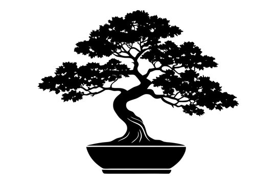  a beautiful serene bonsai tree vector art illustration 